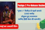 How Pushpa 2 earned Rs 1060 crores before release