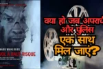 Flight risk movie review in hindi