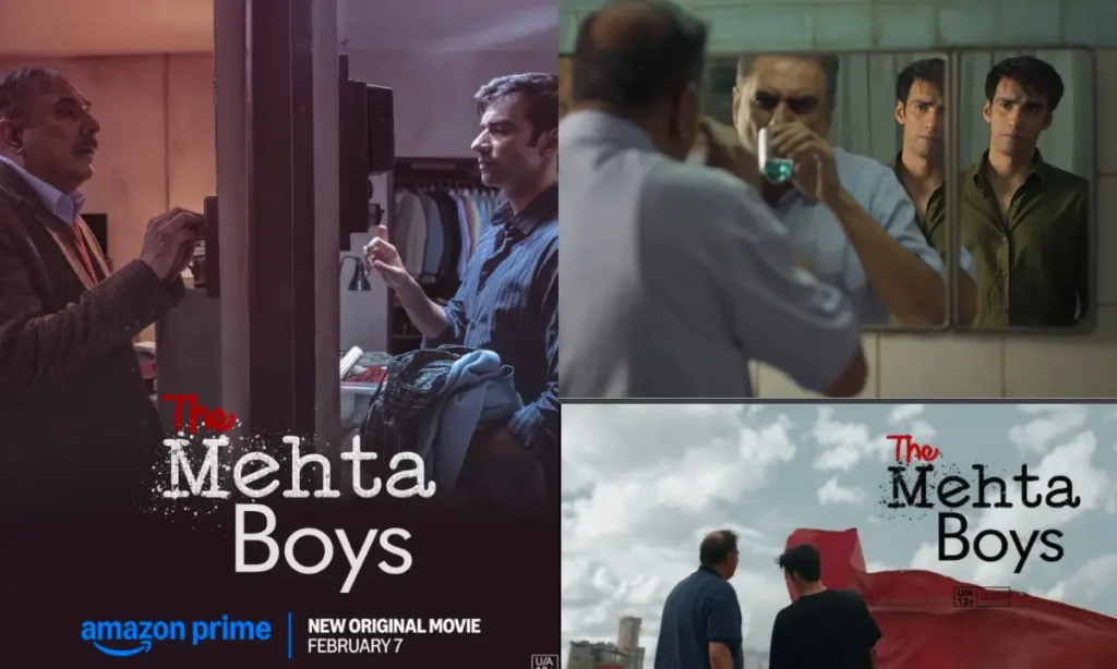 The Mehta Boys Review 2