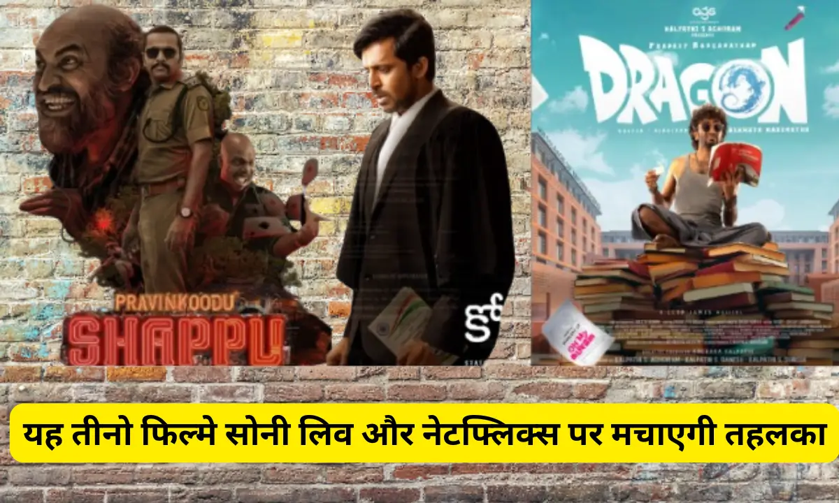 Dragon Court Pravinkoodu Shappu Ott Release