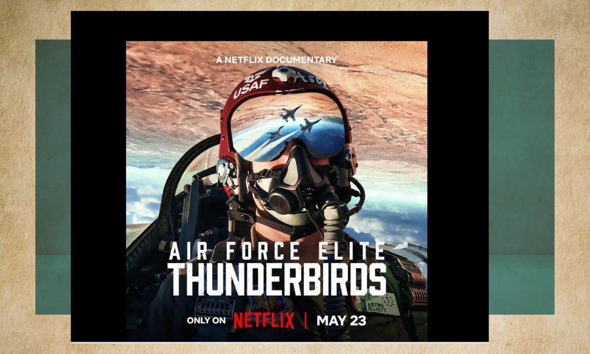 Air Force Elite Thunderbirds Review Hindi