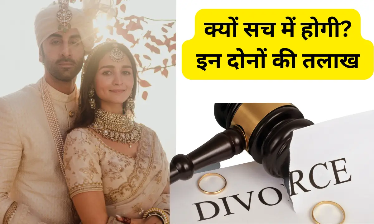 Ranbir Kapoor Alia Bhatt Divorce