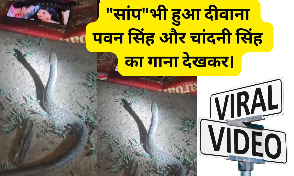 Pawan Singh Viral Snake Video